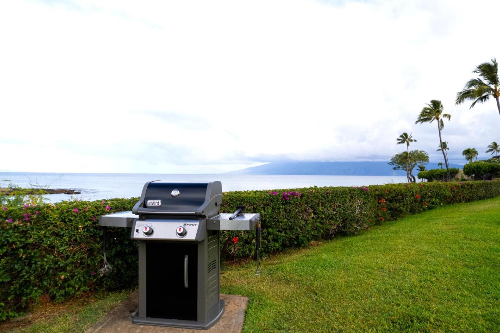 קפלואה Kbm Resorts Free Car Napili Point Nap-C18 Ocean Front Spacious Villa מראה חיצוני תמונה